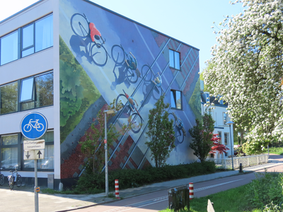 912785 Afbeelding van de recent aangebrachte muurschildering 'Kruising', in vogelperspectief, met een afbeelding van ...